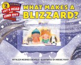 What Makes a Blizzard? (eBook, ePUB) What Makes a Blizzard? (eBook, ePUB)
