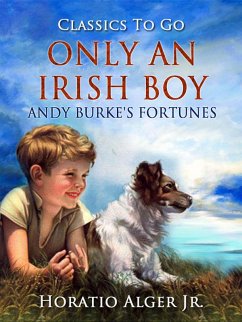 Cover Only An Irish Boy Andy Burke's Fortunes (eBook, ePUB)