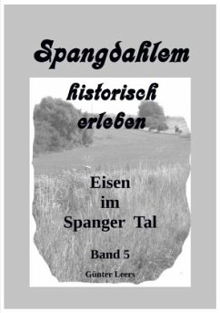 Spangdahlem historisch erleben / Spangdahlem historisch erleben, Band 5 - Leers, Günter