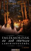 Emlékmorzsák az idõ végtelen labirintusából (eBook, ePUB)