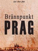 Brännpunkt Prag: en reportageroman (eBook, ePUB) Brännpunkt Prag: en reportageroman (eBook, ePUB)