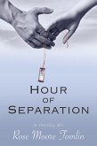Hour of Separation (eBook, ePUB) Hour of Separation (eBook, ePUB)