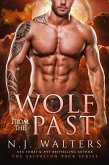 Wolf from the Past (eBook, ePUB)