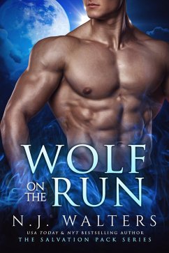 Cover Wolf on the Run (eBook, ePUB)