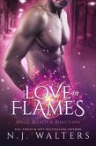 Love in Flames (eBook, ePUB) Love in Flames (eBook, ePUB)
