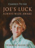 Joe's Luck Always Wide Awake (eBook, ePUB)