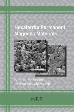 Cover Hexaferrite Permanent Magnetic Materials (eBook, PDF)