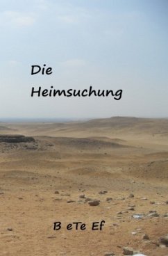 Cover Romanreihe / Die Heimsuchung