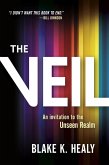 Veil (eBook, ePUB)