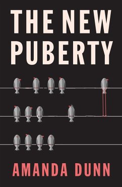 Cover New Puberty (eBook, ePUB)