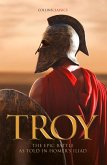 Troy (eBook, ePUB)