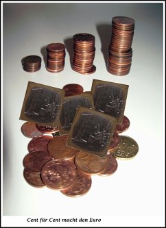 Cent für Cent macht den Euro (eBook, ePUB) - Plesotzky, Uwe