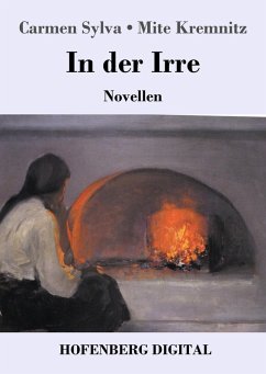 Cover In der Irre (eBook, ePUB)