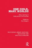 One Child, Many Worlds (eBook, PDF)