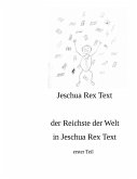 der reichste der Welt in Jeschua Rex Text (eBook, ePUB)