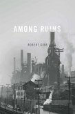 Among Ruins (eBook, ePUB)