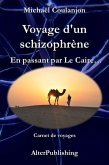 Voyage d'un schizophrène - En passant par Le Caire (eBook, ePUB)