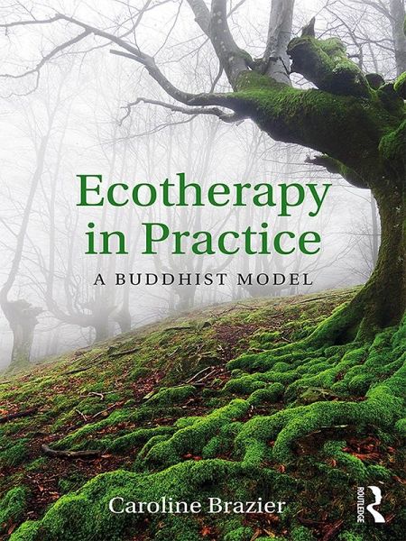 Ecotherapy in Practice (eBook, PDF) Ecotherapy in Practice (eBook, PDF)