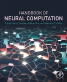 Handbook of Neural Computation (eBook, ePUB)