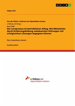 Der Lernprozess im betrieblichen Alltag. Wie Mitarbeiter durch Erfahrungsbildung unbekannten Störungen mit erfolgreichen Lösungen begegnen können - Hirt, Fabian