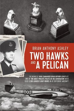 Two Hawks and a Pelican - Ashley, Anthony Brian