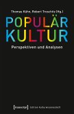 Populärkultur (eBook, PDF)