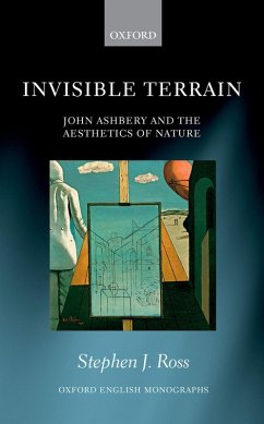 Cover Invisible Terrain (eBook, ePUB)