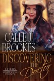 Discovering the Doctor (Masterson County, #2) (eBook, ePUB)