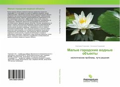 Cover Malye gorodskie wodnye ob#ekty