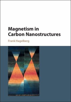 Magnetism in Carbon Nanostructures (eBook, ePUB) - Hagelberg, Frank