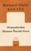 Ormanlardan Hemen Önceki Gece