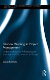 Shadow Working in Project Management