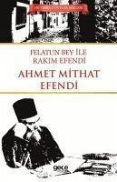 Felatun Bey ile Rakim Efendi - Mithat Efendi, Ahmet