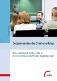Determinanten des Studienerfolgs Determinanten des Studienerfolgs