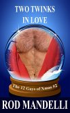 Two Twinks In Love (12 Gays of Xmas, #2) (eBook, ePUB)