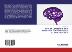 Role of Cerebellum and Brain Stem in Construction of Human Psique - O'Daly, Jose