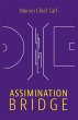 Assimination Bridge - Bild 1
