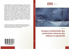 Analyse multiéchelle des contraintes internes des métaux en plasticité - Oum, Guy