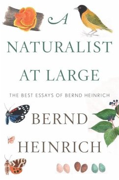 A Naturalist at Large - Heinrich, Bernd