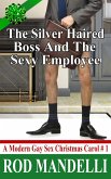 The Silver Haired Boss and the Sexy Employee (A Modern Gay Sex Christmas Carol, #1) (eBook, ePUB)