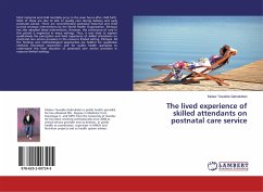 The lived experience of skilled attendants on postnatal care service