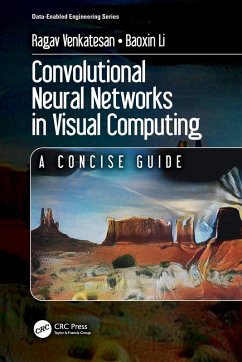 Convolutional Neural Networks in Visual Computing - Venkatesan, Ragav; Li, Baoxin