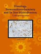 Histology, Immunohistochemistry and In... - Bild 1