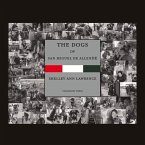 The Dogs of San Miguel de Allende: Volume 1