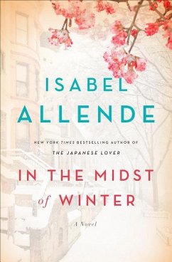 In the Midst of Winter - Allende, Isabel