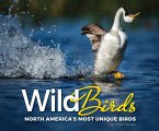 Wild Birds: North America's Most Unique Birds