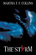 The Storm - Bild 1