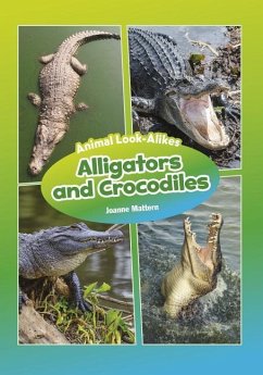 Alligators and Crocodiles - Mattern, Joanne