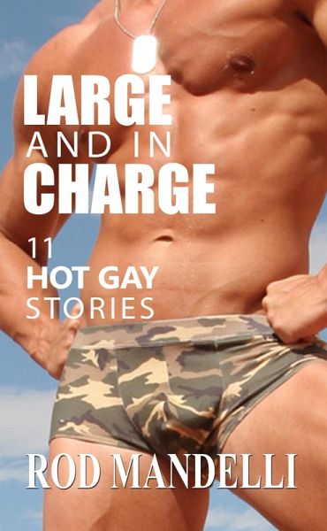 Large and in Charge! 11 Hot Gay Stories (eBook, ePUB)