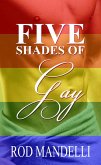 Five Shades of Gay (eBook, ePUB)